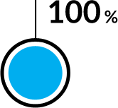 Wykres kołowy - 100%