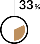 Wykres kołowy - 33%